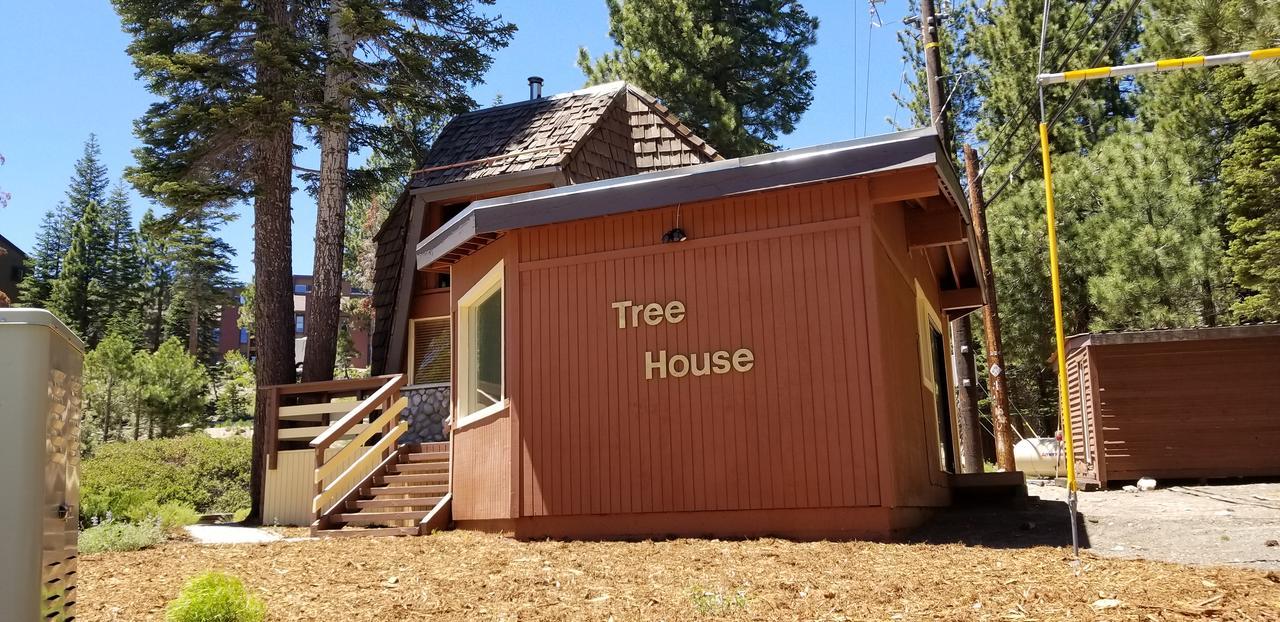 Tree House- Walk To Mammoth Village Mammoth Lakes Exteriör bild